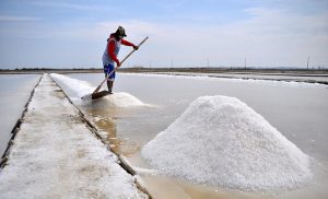 Harga Garam Naik Rp100, Petambak Tetap Merugi