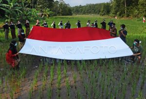 Upacara Kemerdekaan di Sawah, Dinas PU SDA Jatim Perkuat Kedaulatan Pangan!