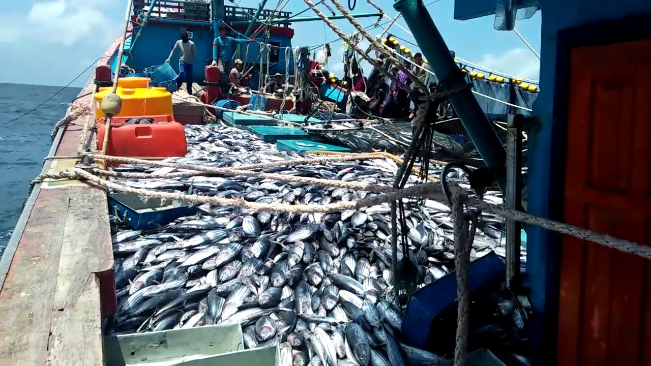 Survei Migas Tak Ganggu Hasil Tangkapan Ikan di Pamekasan?