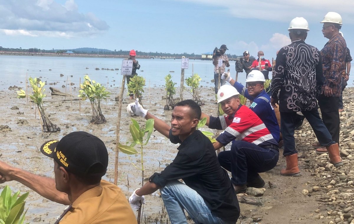 2.222 Mangrove Ditanam di Kulonprogo, SKK Migas dan Media Bersinergi Jaga Lingkungan