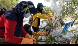 Workshop Sukses Bahas Pengelolaan Sampah Plastik di Ekosistem Mangrove