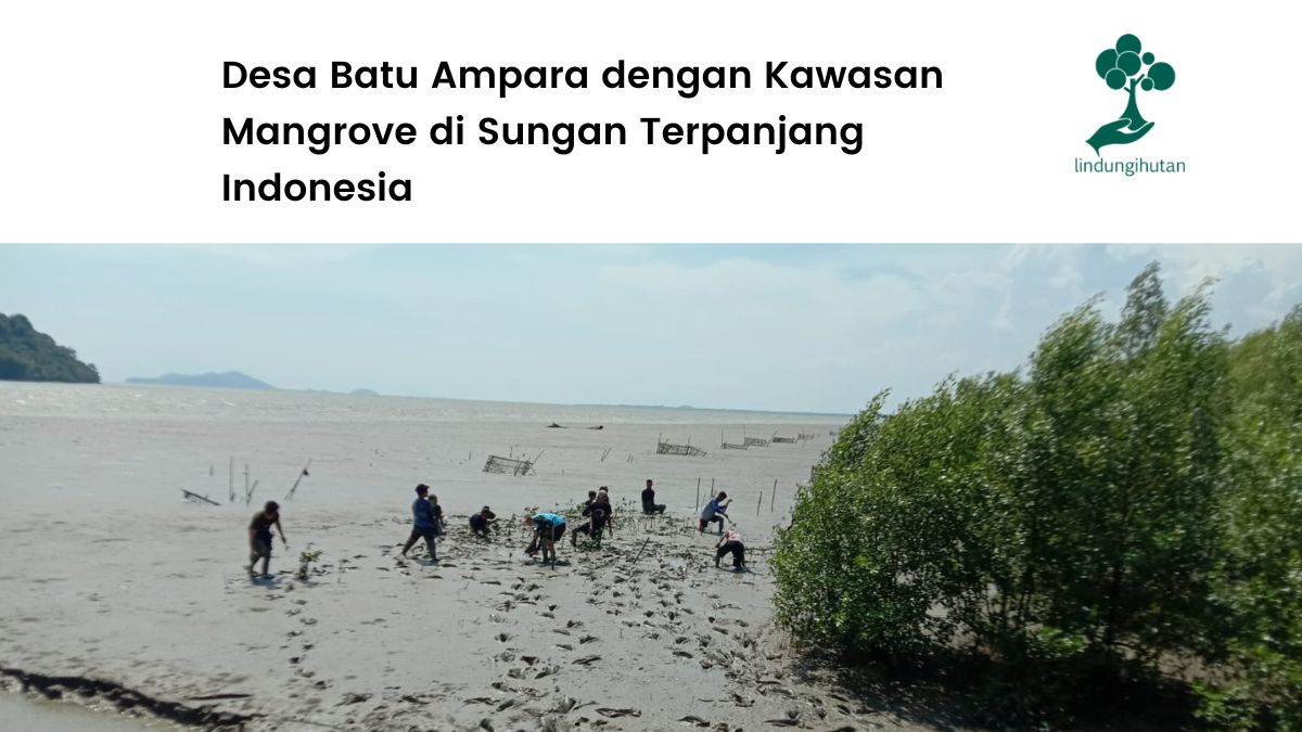 LindungiHutan, yang sebelumnya disebut dalam pemberitaan MaduraPost, mengadakan acara Open Forest #2 pada 30 November 2024 di Ekowisata Mangrove Pantai Indah Kapuk, Jakarta Utara.  Acara ini bertema "Connecting Hands, Restoring Lands" dan bertujuan meningkatkan kesadaran masyarakat akan dampak perubahan iklim melalui kegiatan penanaman mangrove dan edukasi mengenai kehidupan di wilayah pesisir.