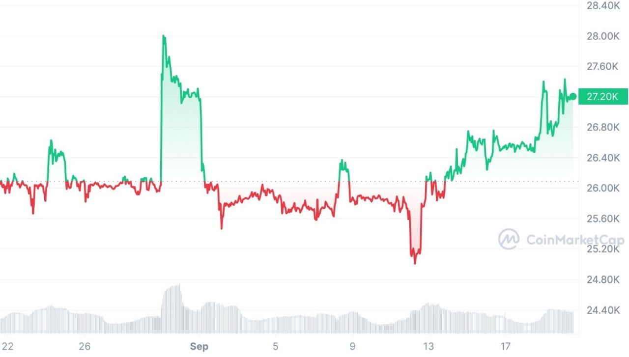 Perbedaan Bitcoin Correction dan Crash: Panduan Lengkap untuk Pemula