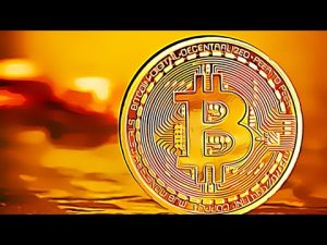 Lima Fakta Terbaru Bitcoin yang Mengubah Permainan Minggu Ini!