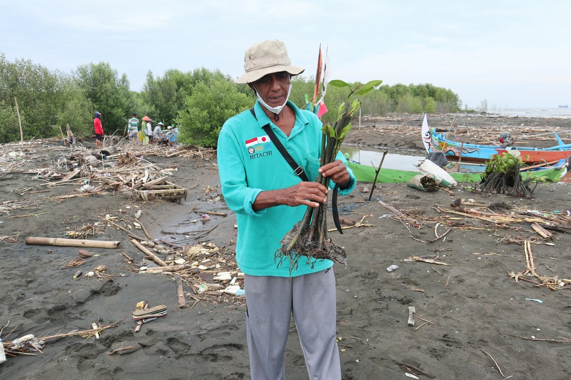 Selamatkan Pesisir dari Abrasi: Menanam Mangrove untuk Masa Depan