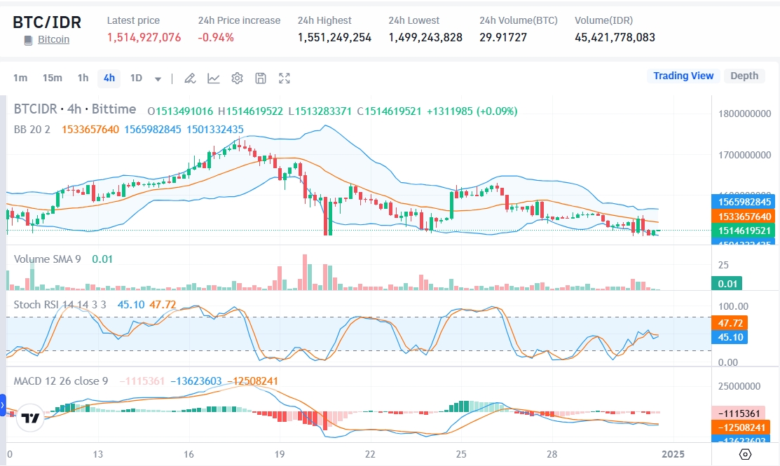 Bitcoin Menuju 2025: Potensi Besar atau Risiko Tinggi?