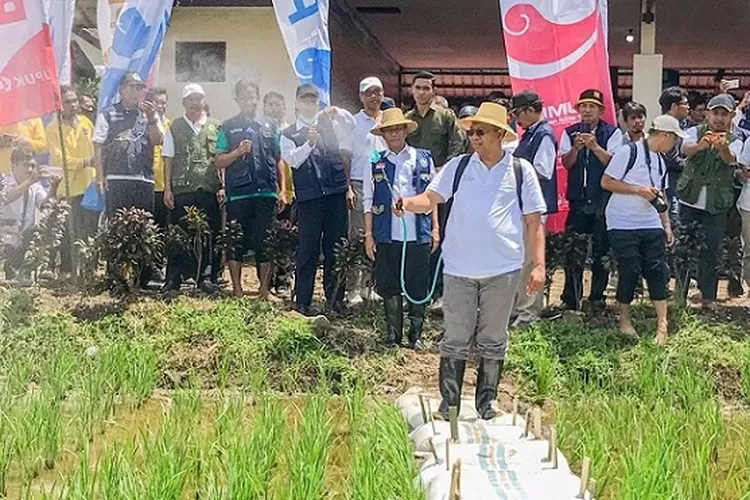 Lumbung Pangan Pamekasan Tetap Terjaga, Meski Tanpa Penambahan Baru