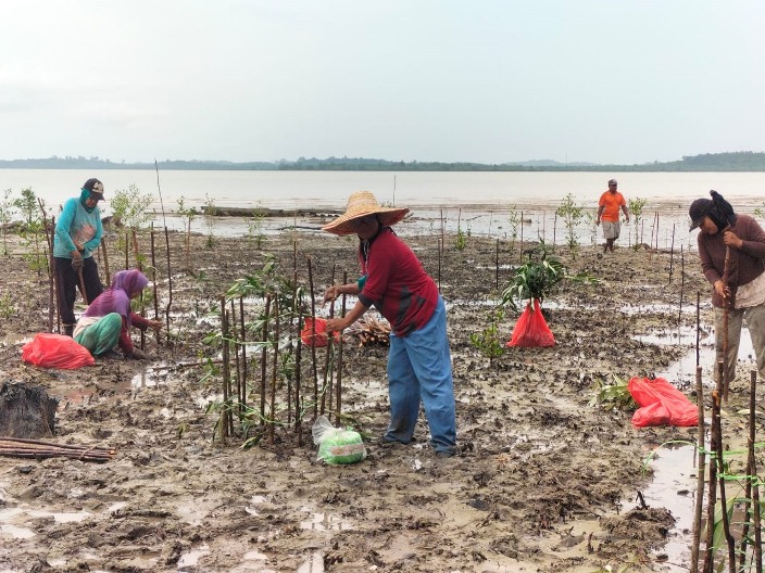 PT PP (Persero) Tbk Tanam 1.000 Mangrove di Pesisir Tambakrejo, Semarang