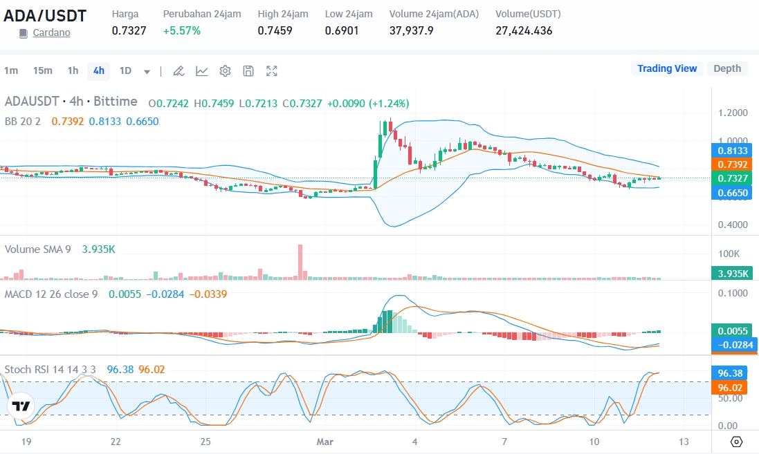 Cardano vs Ripple: Panduan Lengkap untuk Investor Kripto