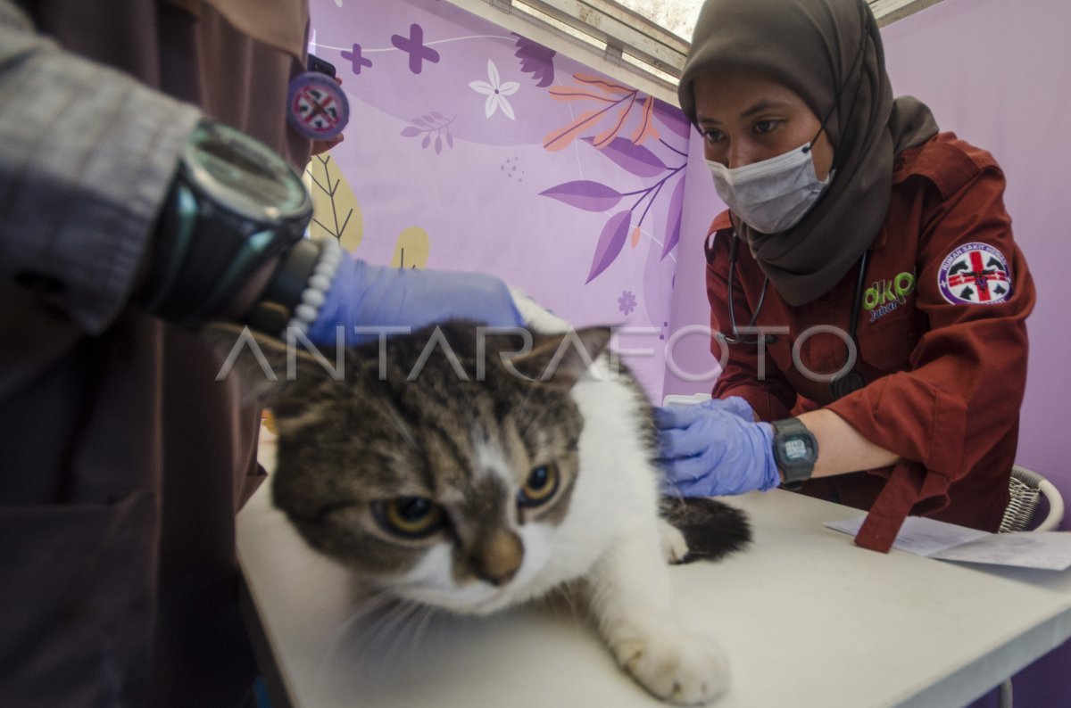Tuban Siaga Rabies! Vaksinasi Gratis untuk Anjing, Kucing, dan Hewan Peliharaan Lainnya!