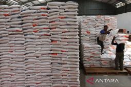 Stok Pangan Melimpah! Bulog Jamin Kebutuhan Aman Hingga Lebaran 2026