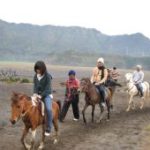 Awas! Koper Wisman Thailand Lenyap di Bromo, Polisi Turun Tangan!