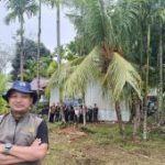 BBM Aman! Jangan Panik Beli, Akademisi Ungkap Fakta Ini