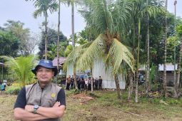 BBM Aman! Jangan Panik Beli, Akademisi Ungkap Fakta Ini