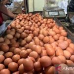 Harga Pangan Terkini: Telur Ayam Rp32 Ribu, Bawang Merah Tembus Rp45 Ribu!