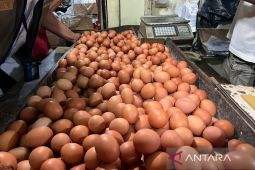 Harga Pangan Terkini: Telur Ayam Rp32 Ribu, Bawang Merah Tembus Rp45 Ribu!