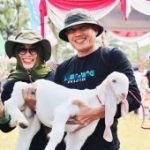 Susu Kambing Senduro: Senjata Ampuh Lumajang Guncang Ekonomi Desa!