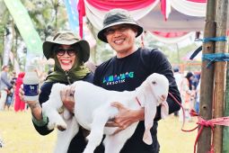 Susu Kambing Senduro: Senjata Ampuh Lumajang Guncang Ekonomi Desa!