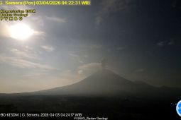 Semeru Menggila Pagi Ini: Erupsi Beruntun, Kolom Abu Setinggi 1.200 Meter!