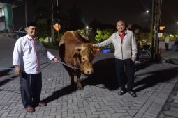 Sapi Raksasa 1,1 Ton dari Gubernur Jatim Gemparkan PWNU!