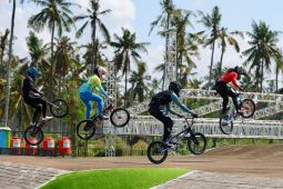 Banyuwangi Geger Ekonomi Lokal Meroket Drastis
