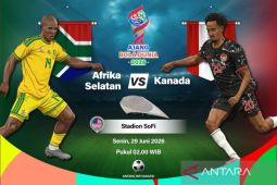 Broos Jujur Ungkap Biang Kerok Kekalahan Afrika Selatan