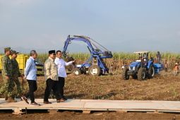Indonesia Guncang Dunia Setop Impor Solar