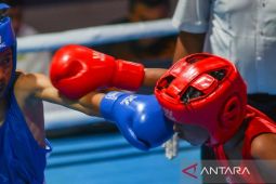 Enam Jagoan Tinju Indonesia Buru Semifinal