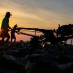 Terungkap Cara Pemerintah Selamatkan Sawah dari El Nino