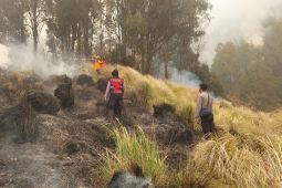 Misteri Kebakaran Bromo Tim Khusus Turun Tangan
