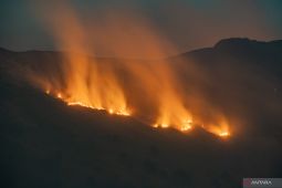Bromo Mencekam Api Meluas Wisata Ditutup Total