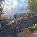 Teror Api Hutan Kepung Pemukiman Warga Tulungagung