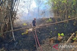 Teror Api Hutan Kepung Pemukiman Warga Tulungagung