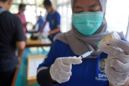 Tulungagung Gempur Rabies Hewan Peliharaan Aman