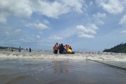 Nasib Wisata Hutan Tulungagung Berubah