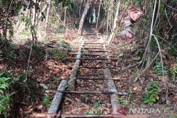 Misteri Pembalakan Liar di Taman Nasional Berbak