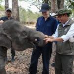 Rahasia Menhut Jaga Hutan dan Satwa dari Api Neraka