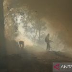 Api Ijen Mengganas Jalur Pendakian Terancam