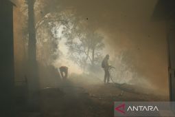 Api Ijen Mengganas Jalur Pendakian Terancam