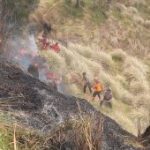 Bromo Darurat Api Mengganas Polisi Turun Tangan