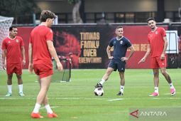Nasib Sial Thom Haye di ASEAN Cup