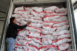 Sidoarjo Kirim Ayam ke Timur Ini Dampaknya