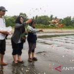 Misteri Jurnalis Krakatau Penasihat Presiden Angkat Bicara