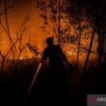 Sisa Karhutla di Enam Provinsi Kian Menyusut