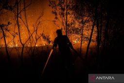 Sisa Karhutla di Enam Provinsi Kian Menyusut