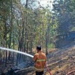 Waspada Musim Kemarau Madiun Membara