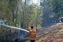 Waspada Musim Kemarau Madiun Membara