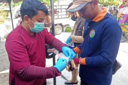 Terungkap Layanan Gratis Bikin Hewan Madiun Sehat
