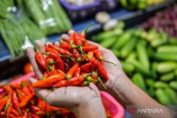 Harga Cabai Rawit Meroket Tajam
