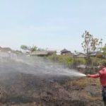 Tulungagung Membara Enam Kebakaran Sehari